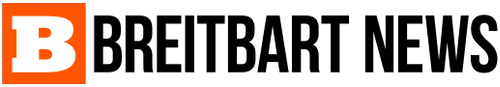 BREITBART NEWS NETWORK AT DUCKDUCKGO visual data 7